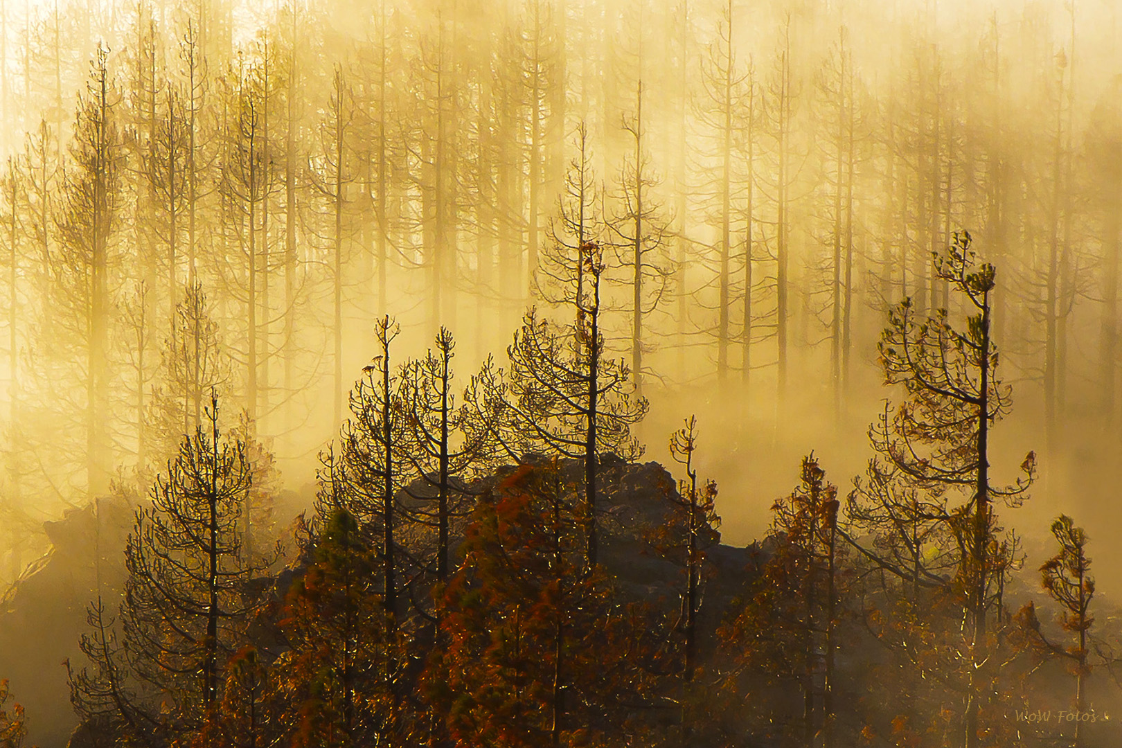 Ein Bild und seine Geschichte
